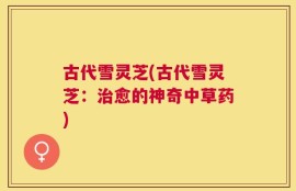 古代雪灵芝(古代雪灵芝：治愈的神奇中草药)