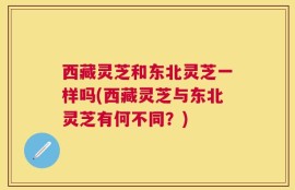 西藏灵芝和东北灵芝一样吗(西藏灵芝与东北灵芝有何不同？)