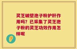 灵芝破壁孢子粉护肝作用吗？已采集了灵芝孢子粉的灵芝功效作用怎样呢