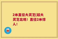 2米直径大灵芝(超大灵芝出现！直径2米惊人！
