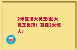 2米直径大灵芝(超大灵芝出现！直径2米惊人！