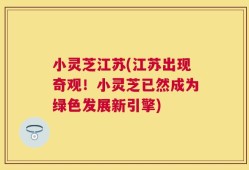 小灵芝江苏(江苏出现奇观！小灵芝已然成为绿色发展新引擎)