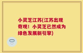 小灵芝江苏(江苏出现奇观！小灵芝已然成为绿色发展新引擎)