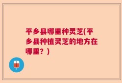 平乡县哪里种灵芝(平乡县种植灵芝的地方在哪里？)