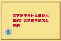 灵芝孢子是什么部位出来的？灵芝孢子是怎么样的