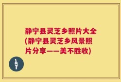 静宁县灵芝乡照片大全(静宁县灵芝乡风景照片分享——美不胜收)