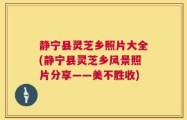 静宁县灵芝乡照片大全(静宁县灵芝乡风景照片分享——美不胜收)