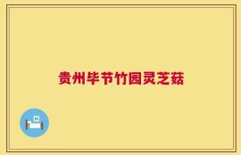 贵州毕节竹园灵芝菇