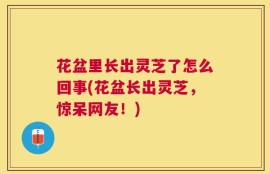 花盆里长出灵芝了怎么回事(花盆长出灵芝，惊呆网友！)