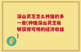 深山灵芝怎么种值的多一些(种植深山灵芝能够获得可观的经济收益)
