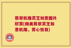 翡翠机雕灵芝如意图片欣赏(精美翡翠灵芝如意机雕，赏心悦目)