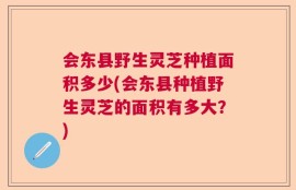 会东县野生灵芝种植面积多少(会东县种植野生灵芝的面积有多大？)