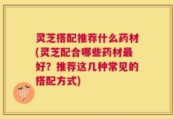 灵芝搭配推荐什么药材(灵芝配合哪些药材最好？推荐这几种常见的搭配方式)