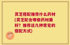 灵芝搭配推荐什么药材(灵芝配合哪些药材最好？推荐这几种常见的搭配方式)