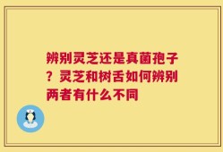 辨别灵芝还是真菌孢子？灵芝和树舌如何辨别两者有什么不同
