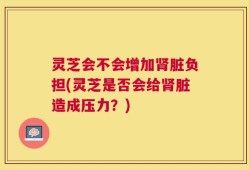 灵芝会不会增加肾脏负担(灵芝是否会给肾脏造成压力？)