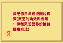 灵芝作用与途径图片视频(灵芝的功效和应用：探秘灵芝营养价值和使用方法)