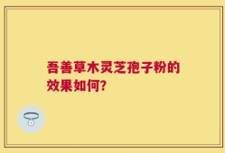 吾善草木灵芝孢子粉的效果如何？