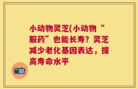 小动物灵芝(小动物“服药”也能长寿？灵芝减少老化基因表达，提高寿命水平