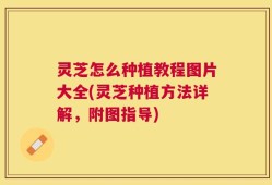 灵芝怎么种植教程图片大全(灵芝种植方法详解，附图指导)