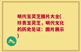 明代玉灵芝图片大全(珍贵玉灵芝，明代文化的历史见证：图片展示)