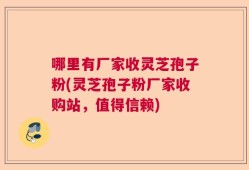 哪里有厂家收灵芝孢子粉(灵芝孢子粉厂家收购站，值得信赖)