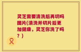 灵芝需要清洗后再切吗图片(清洗并切片后更加健康，灵芝你洗了吗？)