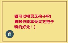 猫可以喝灵芝孢子粉(猫咪也能享受灵芝孢子粉的好处！)
