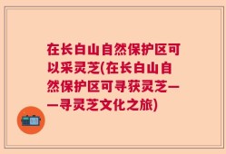在长白山自然保护区可以采灵芝(在长白山自然保护区可寻获灵芝——寻灵芝文化之旅)