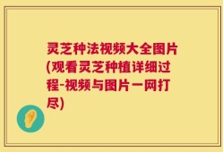 灵芝种法视频大全图片(观看灵芝种植详细过程-视频与图片一网打尽)
