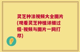 灵芝种法视频大全图片(观看灵芝种植详细过程-视频与图片一网打尽)