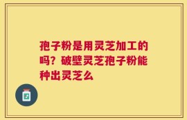 孢子粉是用灵芝加工的吗？破壁灵芝孢子粉能种出灵芝么