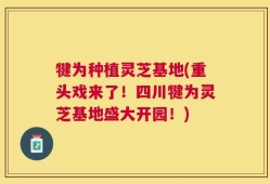 犍为种植灵芝基地(重头戏来了！四川犍为灵芝基地盛大开园！)