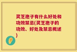 灵芝孢子有什么好处和功效禁忌(灵芝孢子的功效、好处及禁忌概述)