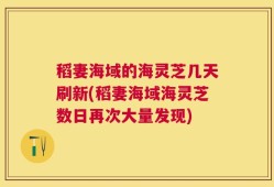 稻妻海域的海灵芝几天刷新(稻妻海域海灵芝数日再次大量发现)