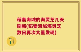稻妻海域的海灵芝几天刷新(稻妻海域海灵芝数日再次大量发现)