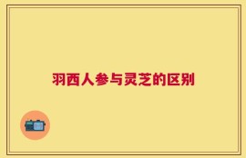羽西人参与灵芝的区别