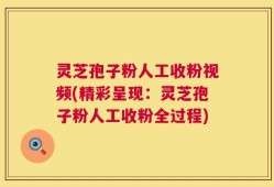 灵芝孢子粉人工收粉视频(精彩呈现：灵芝孢子粉人工收粉全过程)