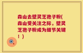 森山去壁灵芝孢子粉(森山受关注之际，壁灵芝孢子粉成为细节关键！)