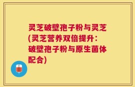灵芝破壁孢子粉与灵芝(灵芝营养双倍提升：破壁孢子粉与原生菌体配合)