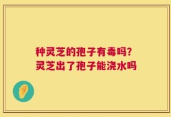 种灵芝的孢子有毒吗？灵芝出了孢子能浇水吗