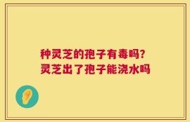 种灵芝的孢子有毒吗？灵芝出了孢子能浇水吗