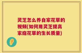 灵芝怎么养自家花草的视频(如何用灵芝提高家庭花草的生长质量)