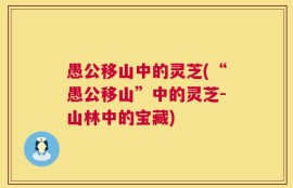 愚公移山中的灵芝(“愚公移山”中的灵芝-山林中的宝藏)