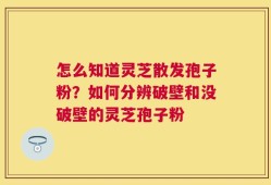 怎么知道灵芝散发孢子粉？如何分辨破壁和没破壁的灵芝孢子粉