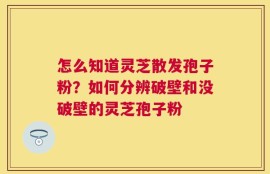 怎么知道灵芝散发孢子粉？如何分辨破壁和没破壁的灵芝孢子粉