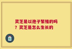 灵芝是以孢子繁殖的吗？灵芝是怎么生长的