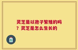 灵芝是以孢子繁殖的吗？灵芝是怎么生长的