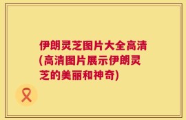 伊朗灵芝图片大全高清(高清图片展示伊朗灵芝的美丽和神奇)