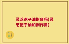 灵芝孢子油伤肾吗(灵芝孢子油的副作用)